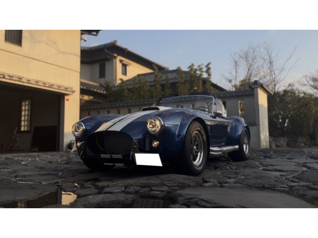 /その他  スーパフォーマンス コブラ