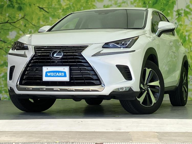 NX 300 Iパッケージ 