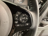 クルーズコントロールを装備しています。高速道路などで一定の速度で走ってくれるので運転が楽ですよ!速度を設定できますので、スピードの出しすぎにも注意できます。