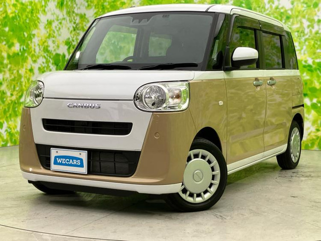 ムーヴキャンバス ストライプス X 