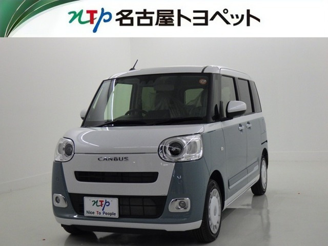 ムーヴキャンバス  ストライプス G