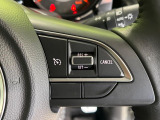 【クルーズコントロール】高速道路もラクラク走行。アクセルを離しても一定速度で走行ができ、長距離運転時の負担を軽減!加速・減速も簡単なスイッチ操作で調整できます。