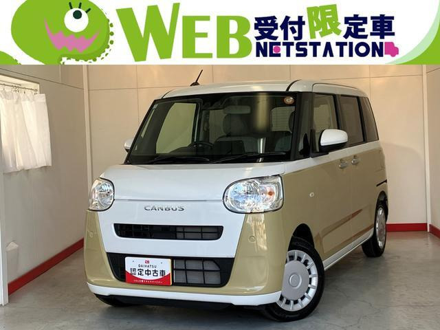 ムーヴキャンバス  ストライプス X