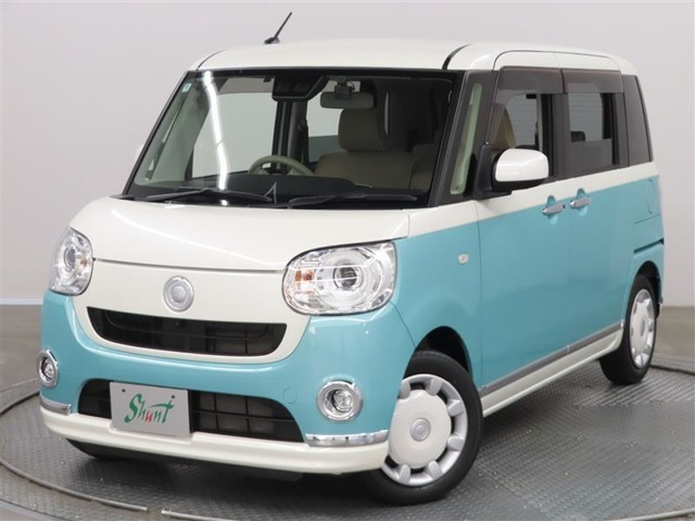 ムーヴキャンバス G メイクアップ リミテッド SAIII 