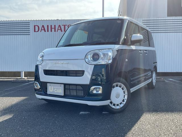 ムーヴキャンバス  ストライプス G