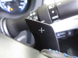 マニュアル車のような感覚で、ワインディングロードでも車を操れるパドルシフト付きです。長い下り坂でのエンジンブレーキや、高速道路の合流の際の加速も思いのままです。