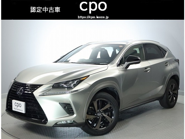 NX 300 ブロンズ エディション 