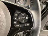クルーズコントロールを装備しています。高速道路などで一定の速度で走ってくれるので運転が楽ですよ!速度を設定できますので、スピードの出しすぎにも注意できます。