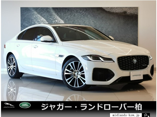 XF Rダイナミック SE 2.0 P250 