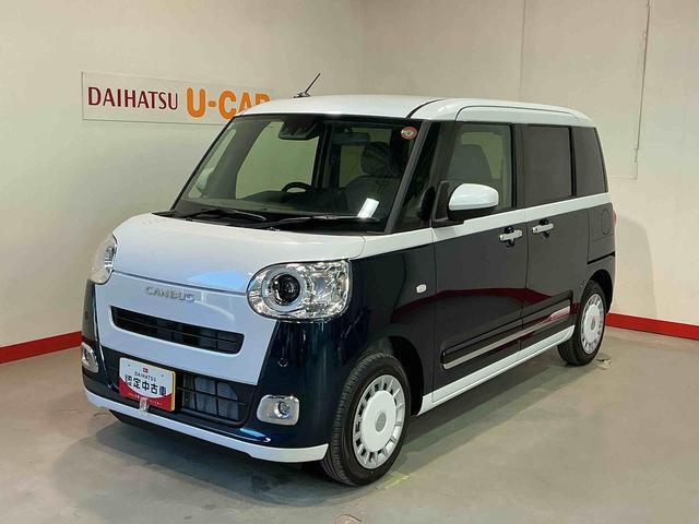 ムーヴキャンバス  ストライプス G