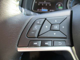 運転中もハンドルから手を放さずにオーディオ操作することができます。