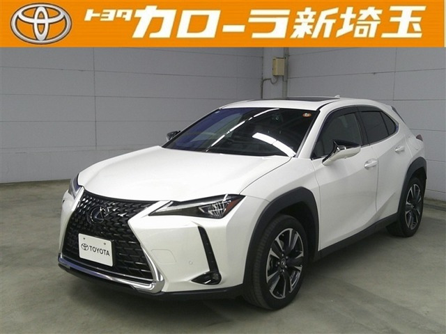 UX 250h グレイスフル エクスプローラー 