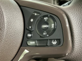 クルーズコントロールを装備しています。高速道路などで一定の速度で走ってくれるので運転が楽ですよ!速度を設定できますので、スピードの出しすぎにも注意できます。