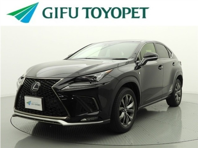 NX 300h Fスポーツ