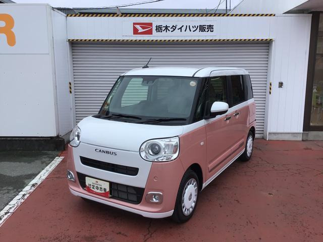 ムーヴキャンバス  ストライプス G