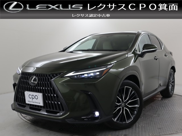 NX 250 バージョンL NX 250 バージョンL