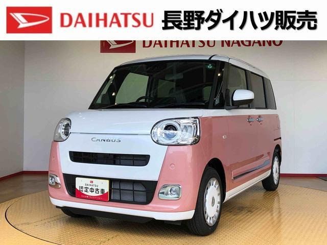 ムーヴキャンバス  ストライプス G