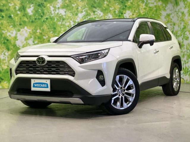 RAV4 2.0 G Zパッケージ 4WD