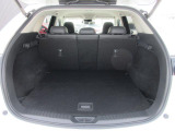 広々ラゲッジスペースはレジャーやアウトドアにピッタリです。リアシートは4:2:4の3分割で倒すことができます。後部座席を倒せばたくさんの荷物を積めるフラットなラゲッジスペースになります。
