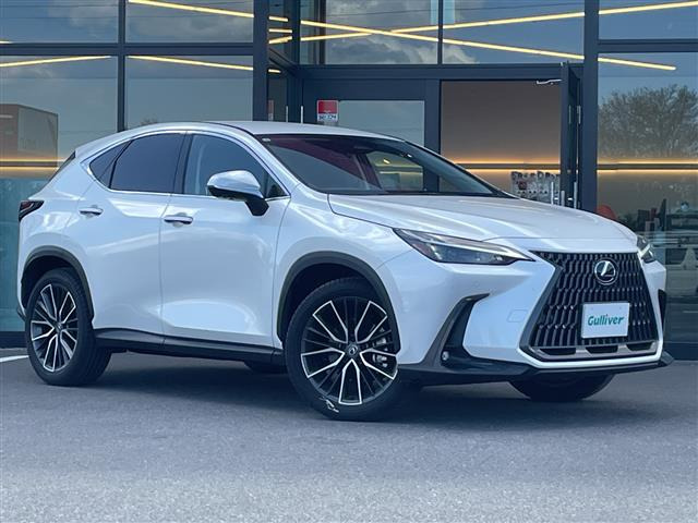 NX 250 修復歴無し