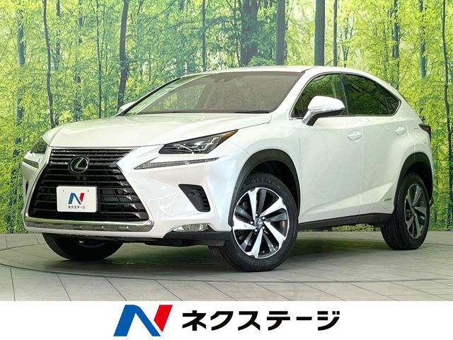 NX 300h Iパッケージ 