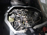 エンジンルームも綺麗に清掃済です。
