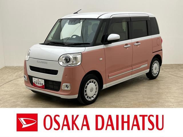 ムーヴキャンバス  ストライプス G