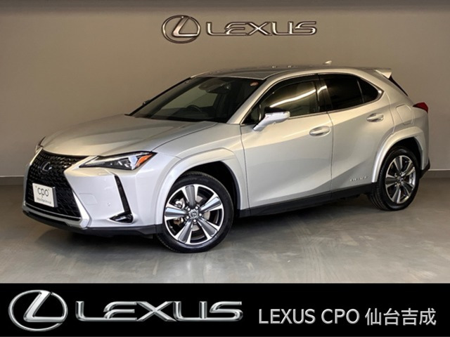 UX 300e バージョンL