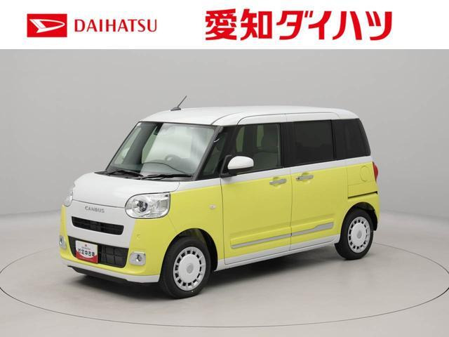 ムーヴキャンバス  ストライプス G