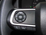 ステアリングスイッチ付き。前方から目を離すことなく操作することが可能です。