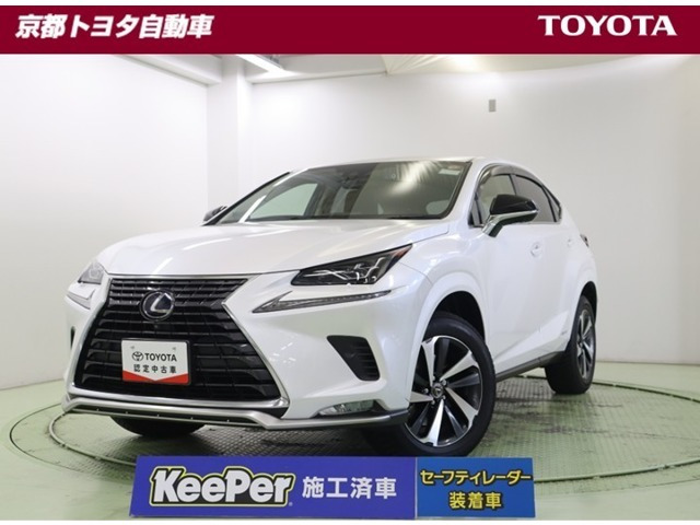NX 300h スパイス&シック 4WD 