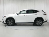 NX 250 バージョンL 4WD 
