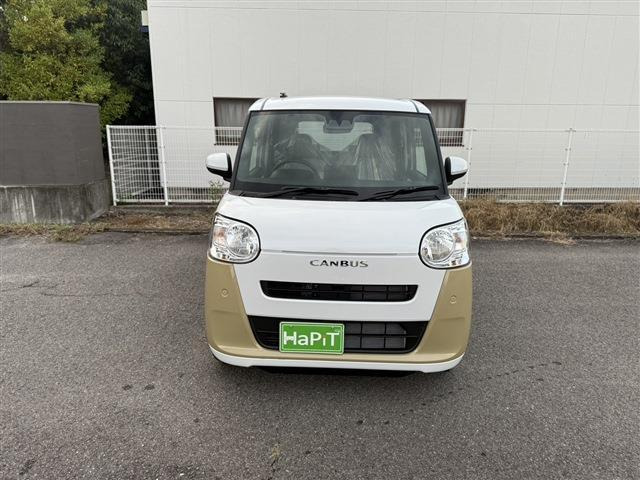 ムーヴキャンバス  ストライプス X