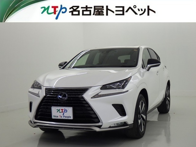 NX 300h スパイス&シック