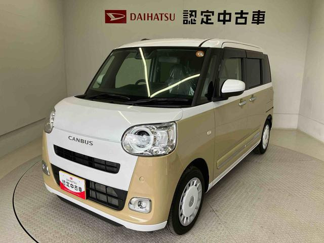 ムーヴキャンバス  ストライプス G