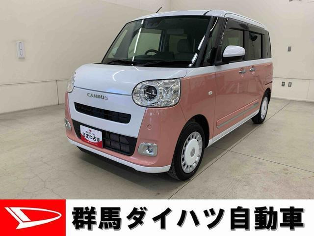 ムーヴキャンバス  ストライプス G