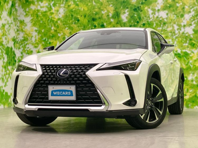 UX 250h バージョンL