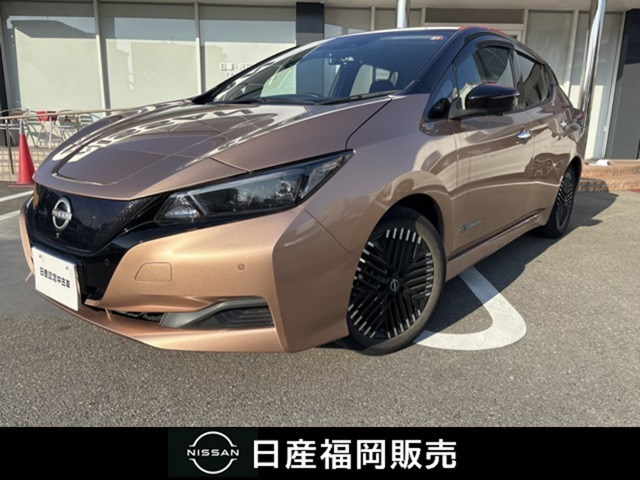 リーフ  X Vセレクション