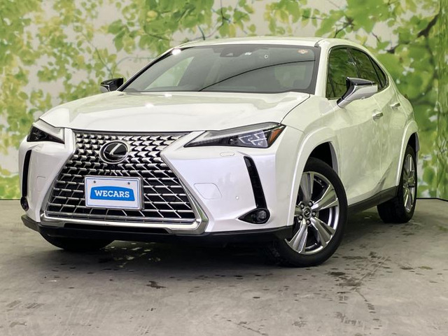 UX 250h グレイスフル エクスプローラー