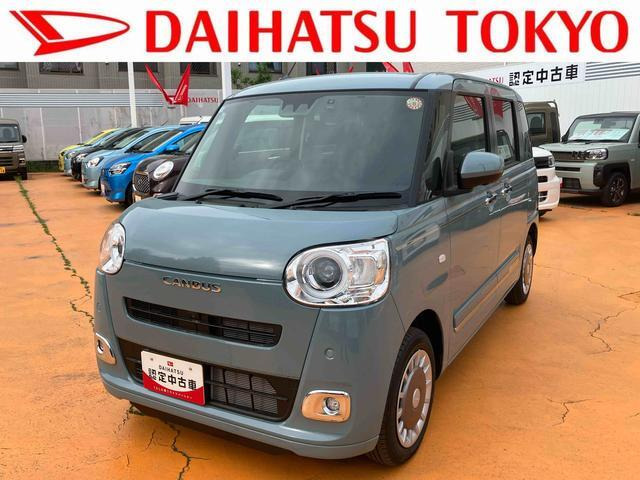 ムーヴキャンバス  セオリー G