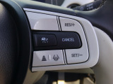 ハンドル右側にはクルーズコントロールのスイッチが装備され運転中の操作も安心して行えます。