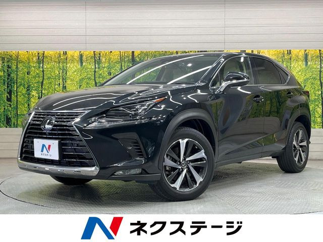 NX 200t Iパッケージ 