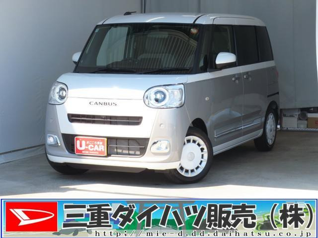 ムーヴキャンバス  ストライプス G