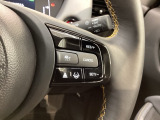 クルーズコントロールを装備しています。高速道路などで一定の速度で走ってくれるので運転が楽ですよ!速度を設定できますので、スピードの出しすぎにも注意できます。
