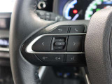 ステアリングスイッチ付き。前方から目を離すことなく操作することが可能です。