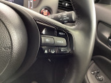 クルーズコントロールを装備しています。高速道路などで一定の速度で走ってくれるので運転が楽ですよ!速度を設定できますので、スピードの出しすぎにも注意できます。