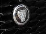 フロントグリルにグロウラーバッジを採用し、Jaguarならではの気品と力強さを表現。