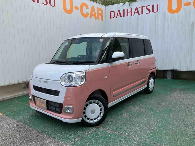 ムーヴキャンバス  ストライプス G