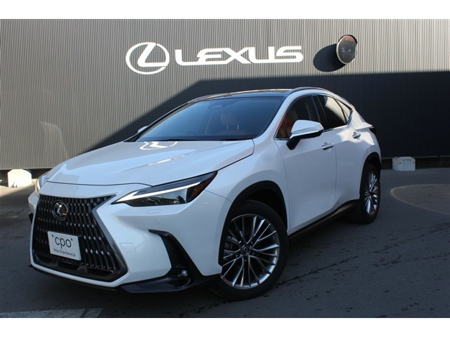 NX 250 バージョンL 4WD 