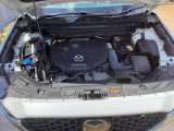 エンジンルームもキレイに清掃されております!